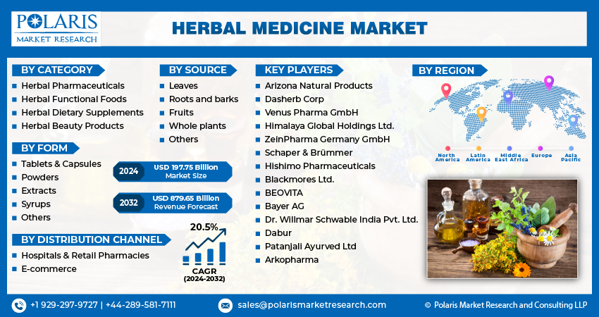Herbal Medicine Market size